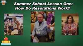 TNV’s Summer School | Lesson One: How do resolutions work? (June 28, 2022) (6:37)